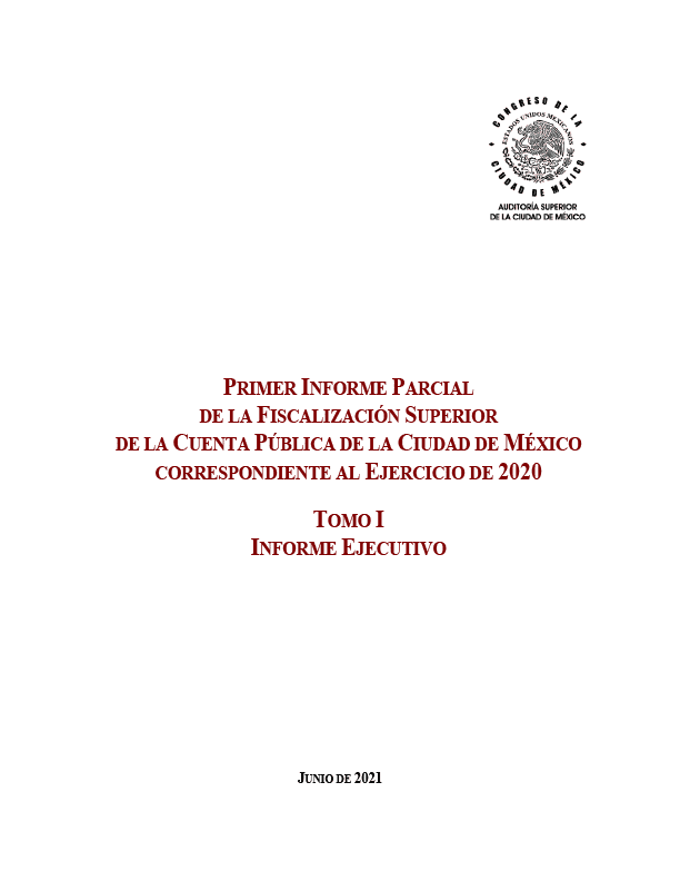 Portada del Primer Informe Parcial 2020